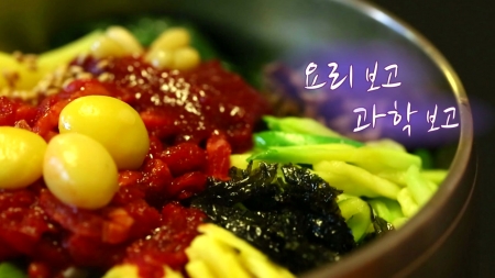 요리 보고 과학 보고! 맛있는 요리에는 과학이 있다