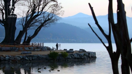 도시로 온 자연, 공존을 꿈꾸다 : 서울·경기